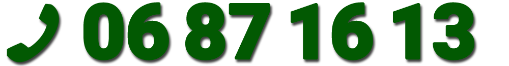 phone-06871613_1000x130-Green2023 phone-06871613_1000x130-Green2023
